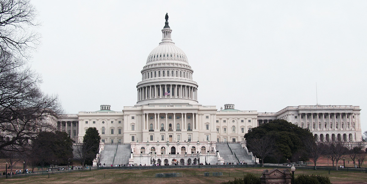 government