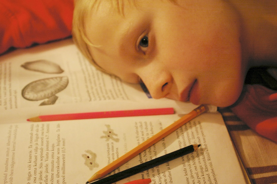 a child rests on top of unfinished homework