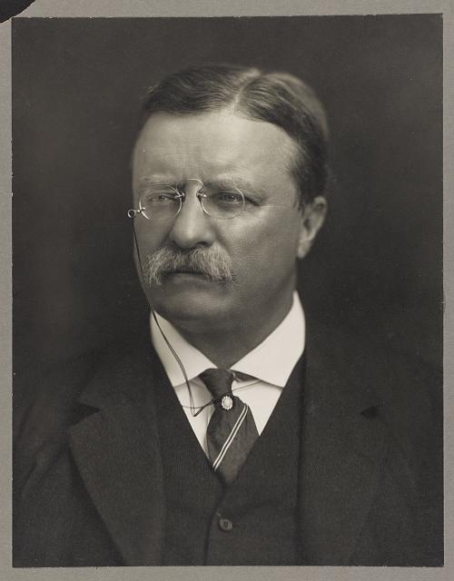 portrait of Theodore Roosevelt