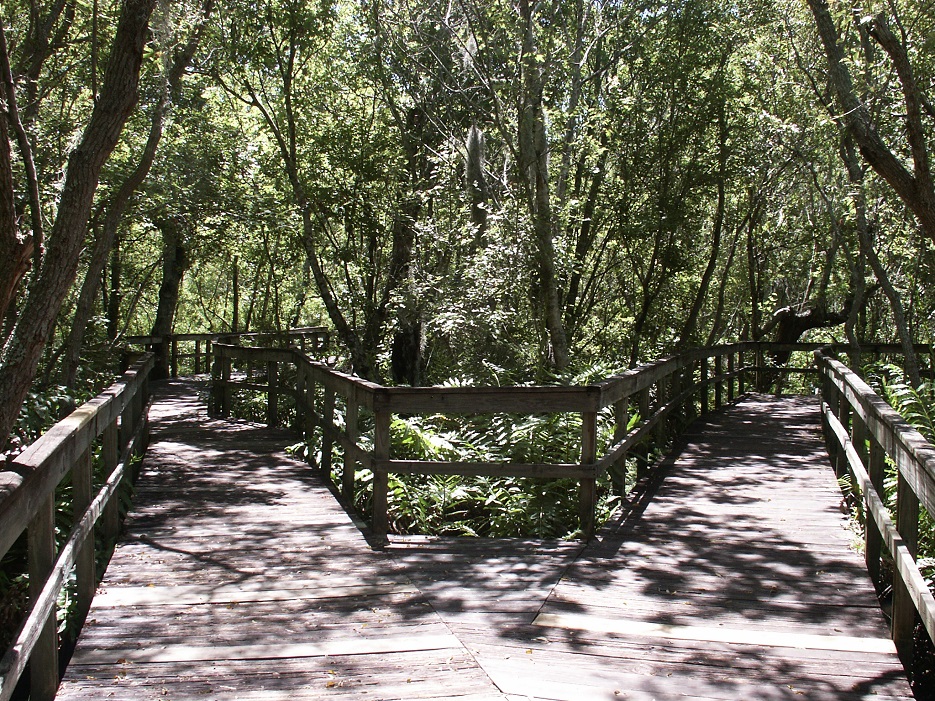 a choice between two paths